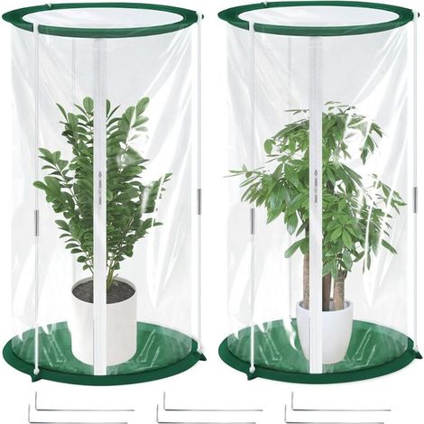 Set of 2 winter plant tents 55 x 33 cm, winter protection for potted plants, mini greenhouse, tomato greenhouse, film greenhouses, for garden, balcony, indoors, balcony plants (1/5)