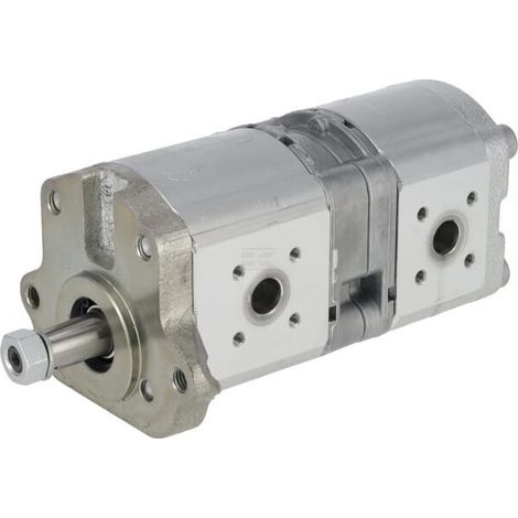 Pompe à engrenages BOSCH REXROTH 0510665497 (1/2)