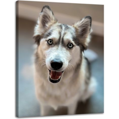 Leinwanddruck Tiere Hundeporträt 30x40 cm Hund