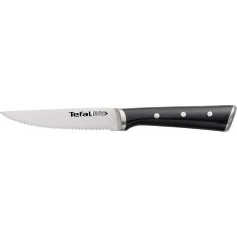 Tefal Ice Force Set de 4 Cuchillos para Steak Negro (1/3)