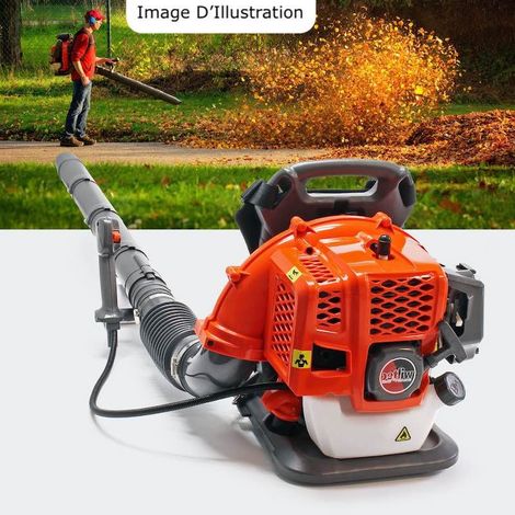 Le Poisson Qui Jardine – Souffleur thermique 1,7 CV – Moteur à essence 6800 tours/min – Vitesse de l'air 165,6 km/h – Réservoir 1,2 litres pour autonomie prolongée (1/5)