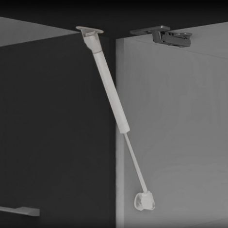 Emuca Pistón a gas para puertas elevables, fuerza 11 kg, recorrido 100 mm, con enganches, Gris metalizado, 10 ud.