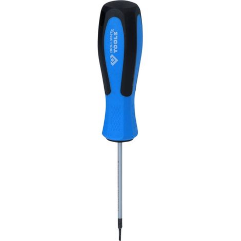 BRILLIANT TOOLS Destornillador de ranura 2,0 x 63 mm - BT031052