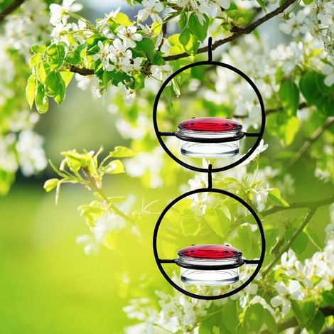 Distributeur de Nectar Pour Colibris [Circulaire Suspendu] FeederDeluxe [À Usage Extérieur] en Plastique Rouge avec Anneaux de Perchoir (2 Pièces) (1/5)