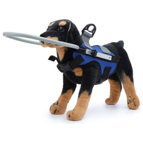 Harnais pour chien aveugle Gilet de protection pour chiens Empêcher les collisions Anneau pour chiens avec yeux malades aveugles Anneau de gilet pour animaux domestiques Fournitures de dressage (1/4)