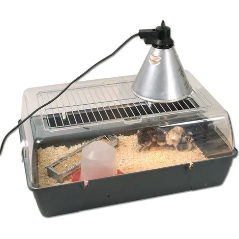 Kit de démarrage pour élevage de poussins (1/5)