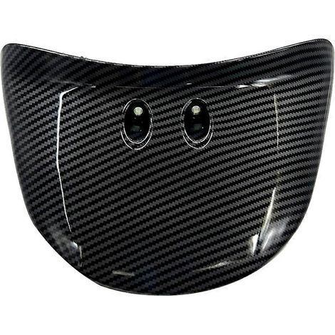 Protection d'aileron arrière de moto pour Sprint en fibre de carbone (1/5)