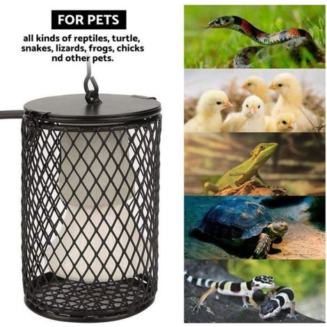 Lampes chauffantes pour reptiles, radiateurs chauffants pour animaux, terrariums, lampes chauffantes pour reptiles pour léz (1/5)