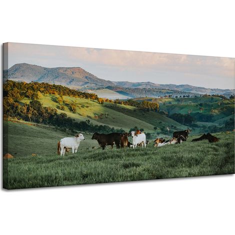Leinwanddruck Natur Weide und Kühe 120x60