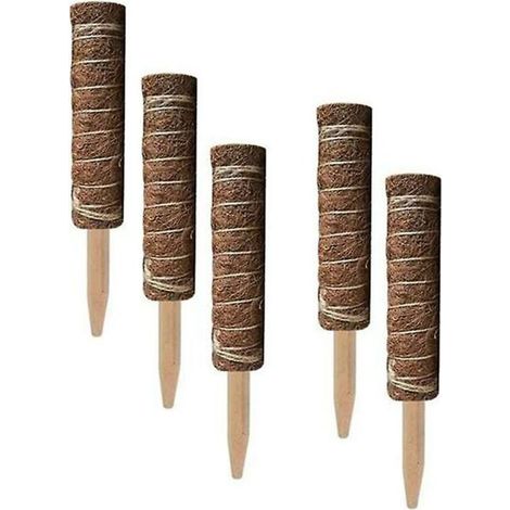 5pcs piquets de plante 50 cm piquet de support de plante (1/5)