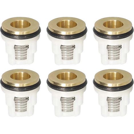 Kit de 6 clapets anti-retour pour pompe AR 42123 RMV (1/5)