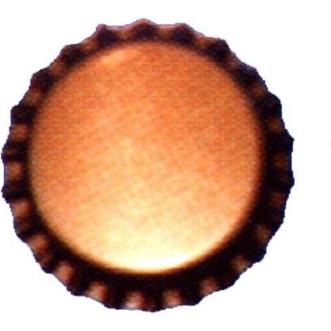 Bouchon de couronne de 30,5 mm, lot de 100