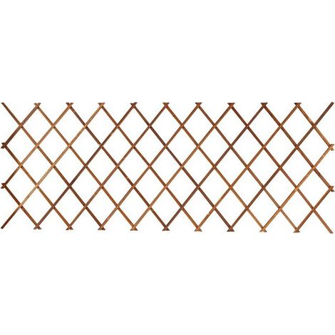 Treillis, Cadre d'escalade télescopique anti-corrosion pour mur de jardin de cour - 44x31cm 1piece - RWTreillis (1/3)