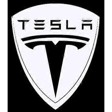 Lot de 2 projecteurs LED pour porte de Tesla, éclairage de bienvenue dédié aux modèles Tesla Model 3 X (1/5)