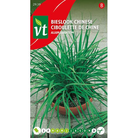 Ciboulette De Chine - Ca. 0,75 gr (Livraison Gratuite)