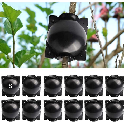 Dispositif d'enracinement des plantes - 12 pièces boîtes pour la croissance des racines, Propagation Raisonnable Boule pour la coupe des semis (1/5)