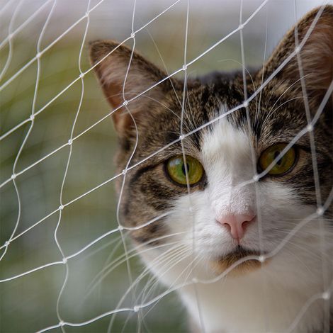 Filet de Protection pour Chat 6 x 3 m Transparent Filet de Sécurité Balcon Fenêtre en Nylon Résistant aux UV avec 25 Crochets et 19 m de Corde de Fixation (1/5)