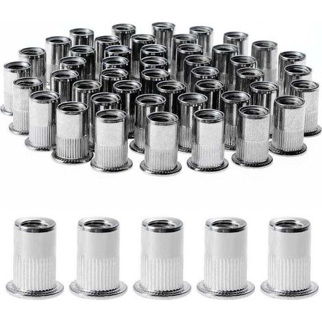 100 Pièces Rivet Ecrou M8, Écrous à Rivets en Acier Inox, Assortiment M8 Ecrou Insert Filetés Tête Plate pour Métal Plastique (14 mm x 18 mm) (1/4)