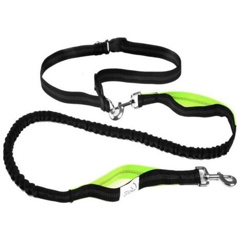Laisse Mains Libres - Tm - Réglable - 120 cm à 200 cm - Nylon - Pour Chien (1/4)