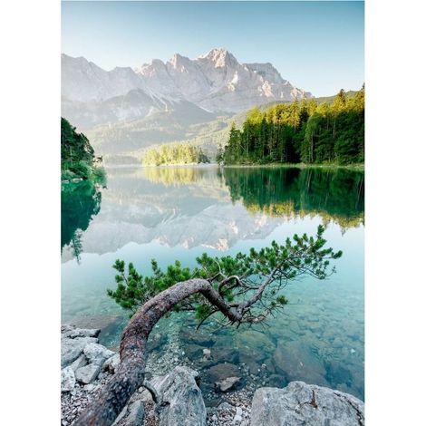Tableau sur toile Branche Sur le Lac 30x45 cm - Impression sur Toile Murale Décorative - Image imprimée en HD sur Toile - Toile sur Châssis en Bois FSC - Fabriqué en France (1/5)
