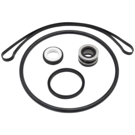 Kit de Réparation de Joints MEFONKOU pour Pompe de Piscine Série SP3000X – Inclut Joint d'Arbre SPX1600 – Étanchéité Garantie (1/5)