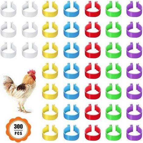 300 anneaux de pied de volaille, petits anneaux de serrage de volaille, bandes de volaille pour marquer les oiseaux, (1/5)
