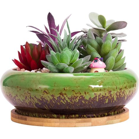Pot de Fleurs, Grand Pot de Succulentes de 15,5 Cm avec Drainage Pot Rond de Bonsaï et Plateau Pot en Céramique pour Plantes de Cactus (1/5)