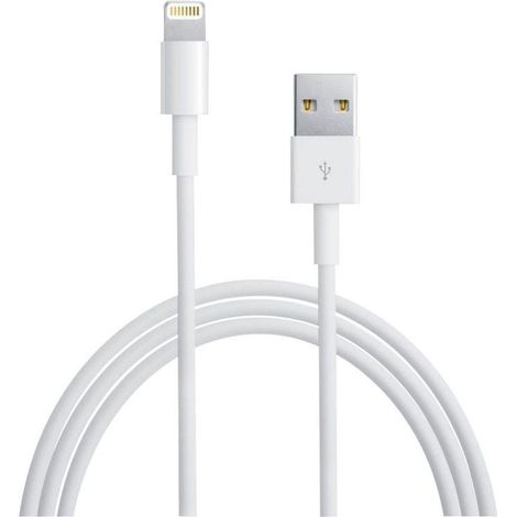 Apple Stecker 4-poliger USB-A-Anschluss Stecker Apple Lightning 2 m