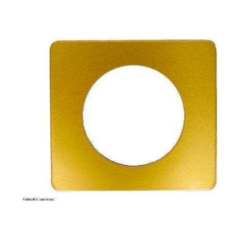 Legrand – Plaque de finition métal Céliane 1 poste – Finition laiton satiné – Compatible avec support Batibox et mécanisme Céliane