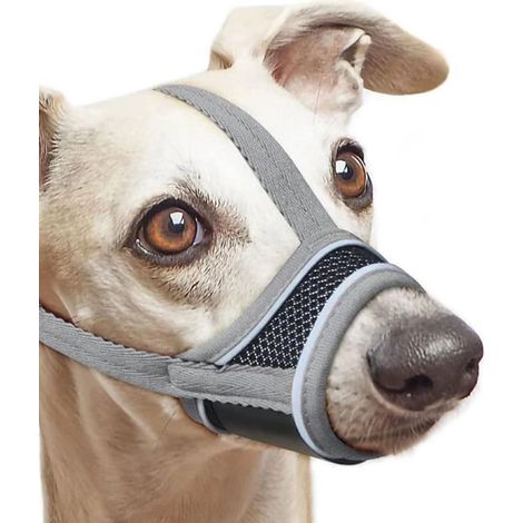 Une muselière grise réglable pour chiens, conçue pour empêcher les morsures et l'ingestion, adaptée à l'entraînement comportemental quotidien. (1/5)
