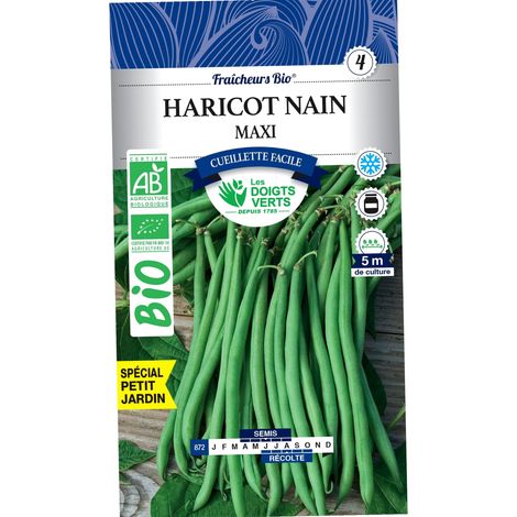 Graines Haricot Nain Maxi BIO Les Doigts Vert 30g