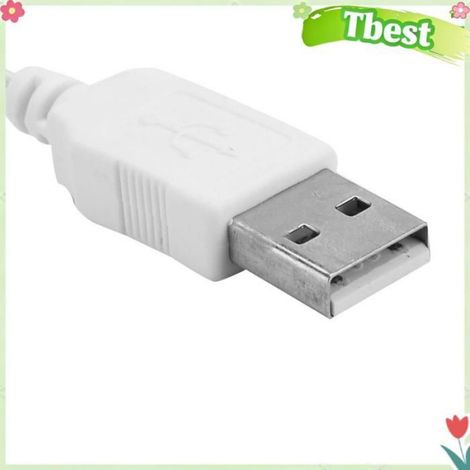 Tbest Guirlandes lumineuses roses Guirlande lumineuse à fleurs hygiene mascara 3 mètres 20 lumières-rose blanc chaud-USB (1/4)