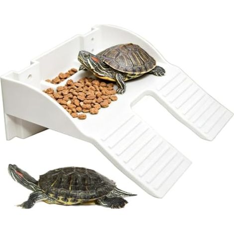 Zone de lézardage pour Tortue avec Porte-Manger, Rampe, déco Aqua (1/5)