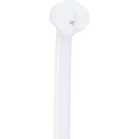 TRU COMPONENTS TC-12814144 Serre-câble 100 mm 3 mm naturel avec languette métallique, résiste aux pr