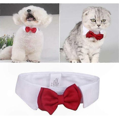 Collier réglable pour chat et chien avec nœud papillon rouge - Accessoire élégant pour petit animal, col officiel ajustable (1/5)