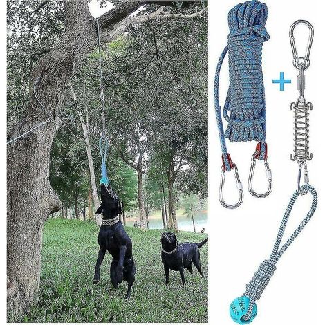 Set di giocattoli per cani con barra a molla per uso esterno, corda di cotone per l'esercizio, giocattolo per la dentizione del cane (1/4)