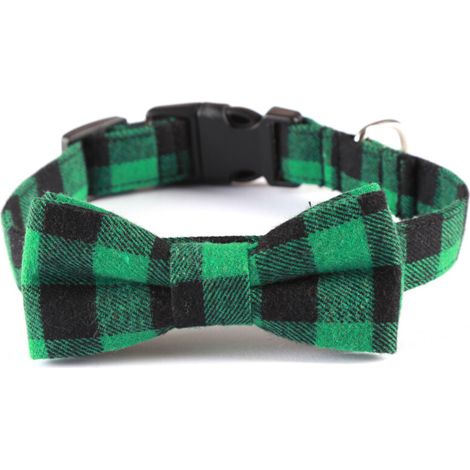 Collier pour chien vert et noir - Taille M (2,5 x 50 cm) - Matériau doux, réglable, design moderne (1/5)