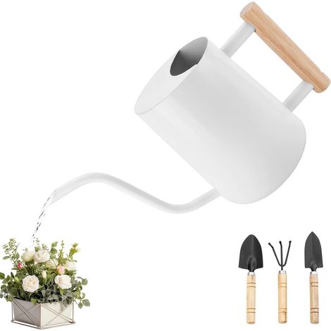Arrosoir en Acier Inoxydable 1L,Petit Arrosoir pour Plantes D'intérieur (1/5)