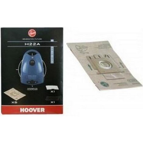 Boite de 5 sacs + 2 filtres H22A MICROSPACE MICROPOWER