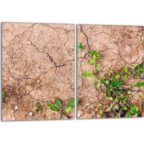 Protector de vidrio para estufa 2x40x52 Plantas (1/5)