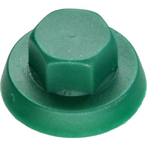 CAP Polyéthylène Vis Diamètre 4.8-5.5 Surplat 8 RAL6028 (1/5)