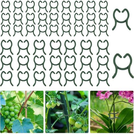 200 clips de support pour plantes, deux tailles, clips de support réutilisables pour plantes grimpantes, légumes et fruits. (1/5)