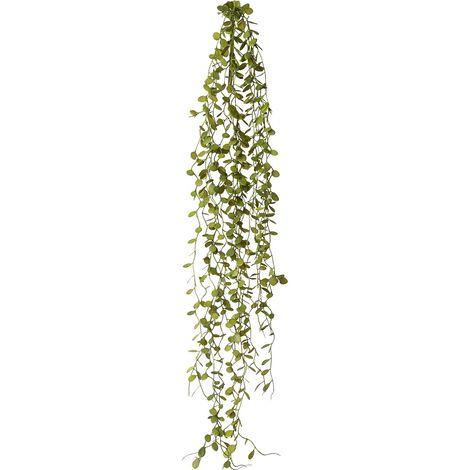 GASPER Mühlenbeckia-Hänger 71 cm - grün