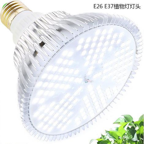 Lampe LED PAR38 per la crescita delle piante indoor – Illuminazione bianco naturale ideale per bonsai, fiori, bougainville e piante succulente