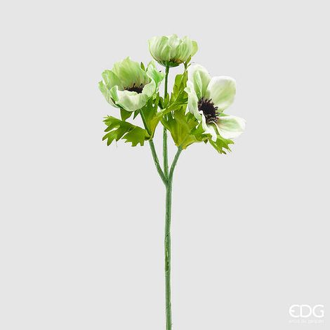 EDG Enzo De Gasperi Anemone Rex 3 Rami H 46 Cm Verde Chiaro