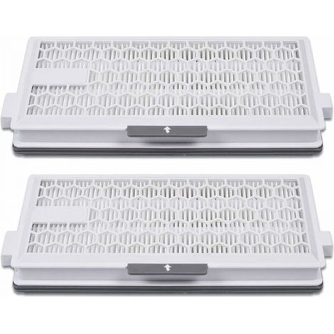 2 Filtres HEPA Airclean Plus 50 Miele Complete C3 S8340 (1/5)