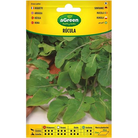 Sachet de graines de roquette - culture facile et rapide (1/2)