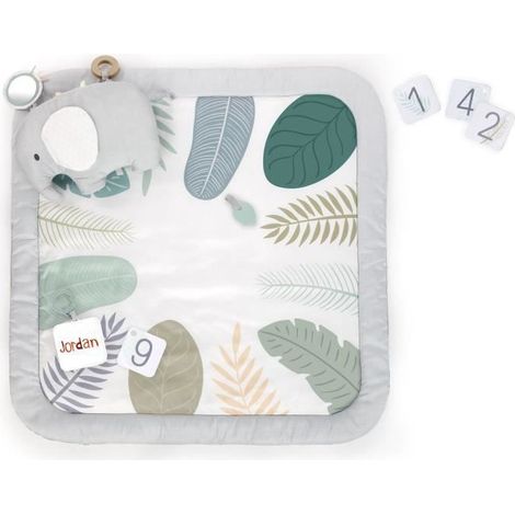 Tapis d'éveil INGENUITY Sprout Spot - Evolutif - 12 cartes évolutives - 7.62 x 102 x 102 cm - Multicolore - Des la naissance (1/5)