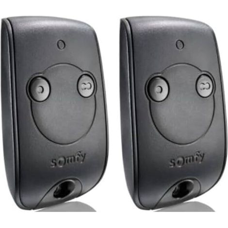 Somfy 1841026 - Télécommande Keytis RTS 2 canaux pour contrôler 2 Moteurs RTS de portails et Portes de Garage (Lot de 2)