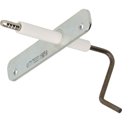 Electrode d'ionisation